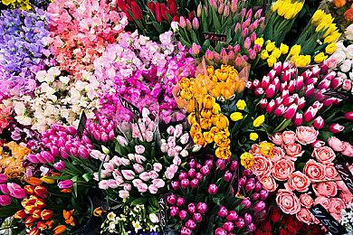 《魔剑物语》Steam版将于5月30日发售